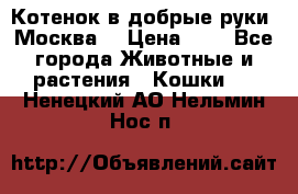 Котенок в добрые руки. Москва. › Цена ­ 5 - Все города Животные и растения » Кошки   . Ненецкий АО,Нельмин Нос п.